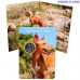 malta 2 eiro 2026 bu coincard feneks 30000 tiraza