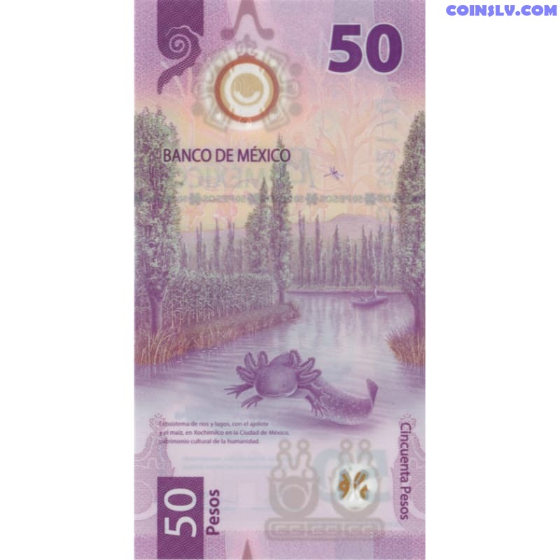 thumbnail image 2 of Mexico 50 Pesos 2021-2023 Polymer Banknote – P-New UNC, Completely Redesigned 2 of 5